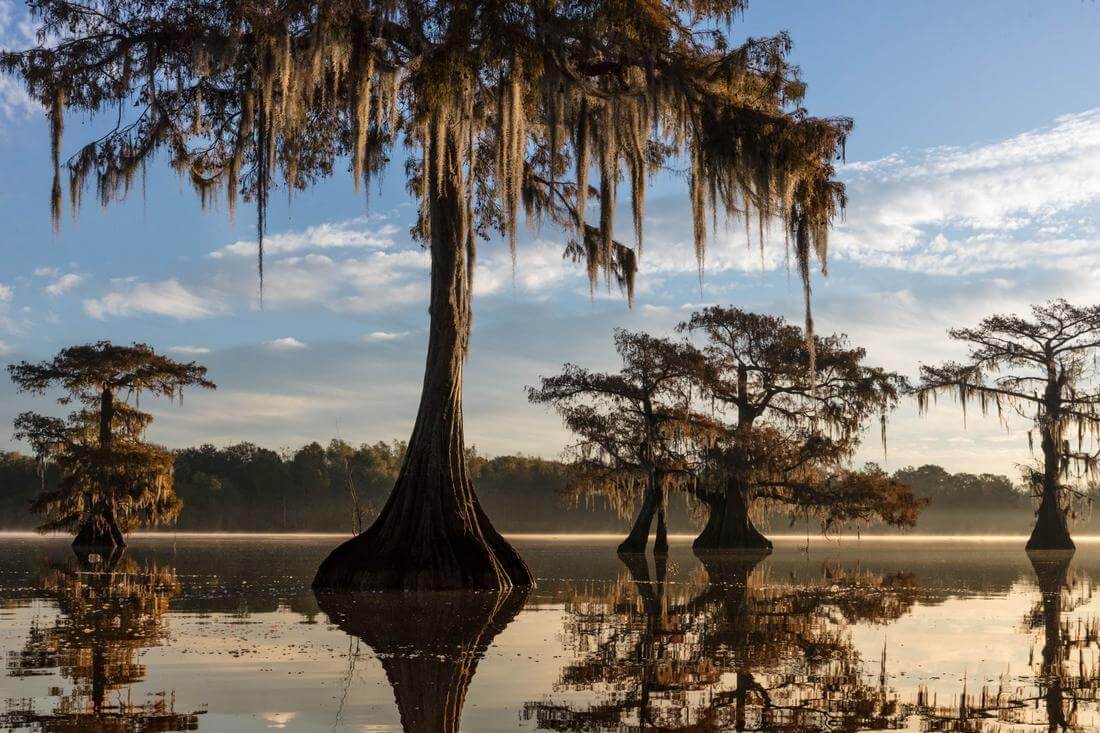 Фото: озеро Сайпресс в штате Луизиана - American Butler