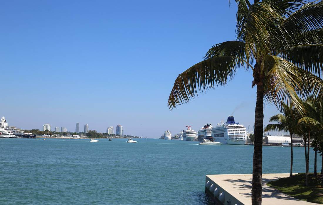 Miami Cruise Port - photo on cruise liners from the museum park - American Butler