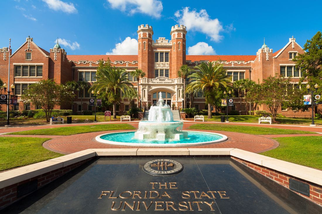 Университет штата Флорида — фото главного входа — American Butler