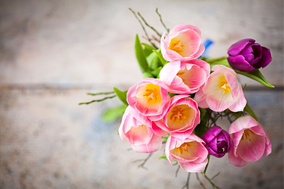 Поздравление женщин с 8 марта 2018 года от компании American Butler - фото букета тюльпанов