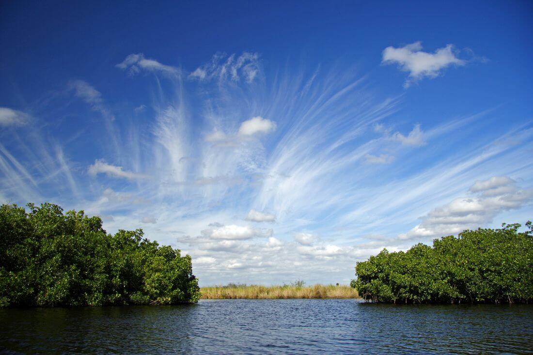 Национальные парки штата Флорида — фото заповедника Эверглейдс — American Butler