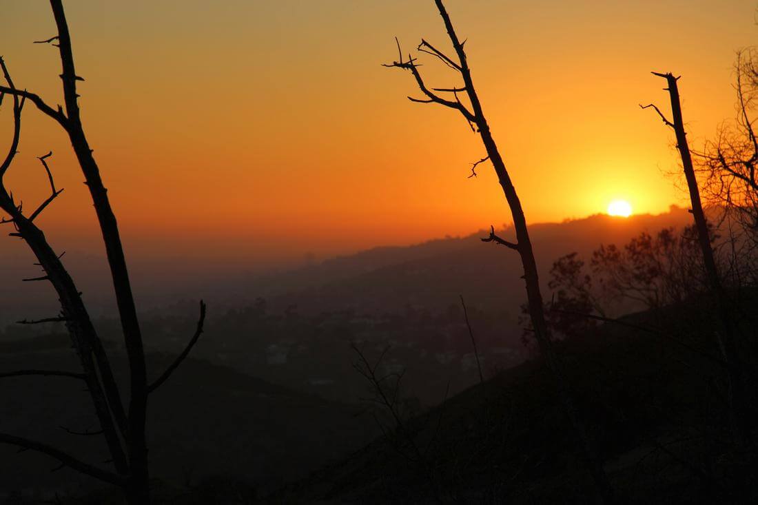 Фото заката в Гриффит-Парке в Лос-Анджелесе - American Butler