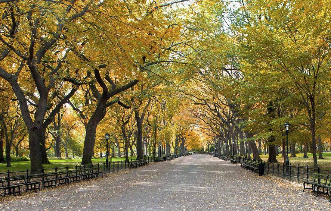 Фото Central Park в Нью-Йорке осенью — American Butler