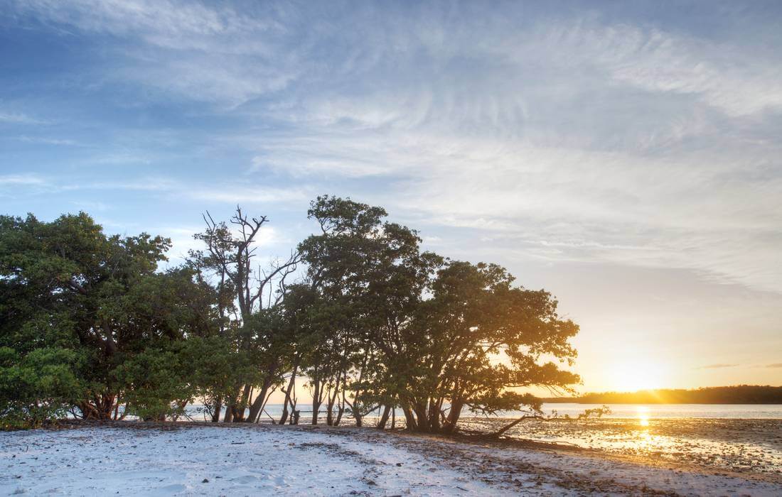 Архипелаг Ten Thousand Islands National Wildlife Refuge во Флориде - American Butler