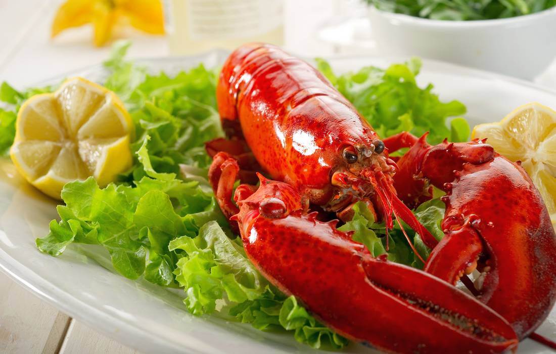 Photo of lobster from Maine - American dishes and food from the USA - American Butler