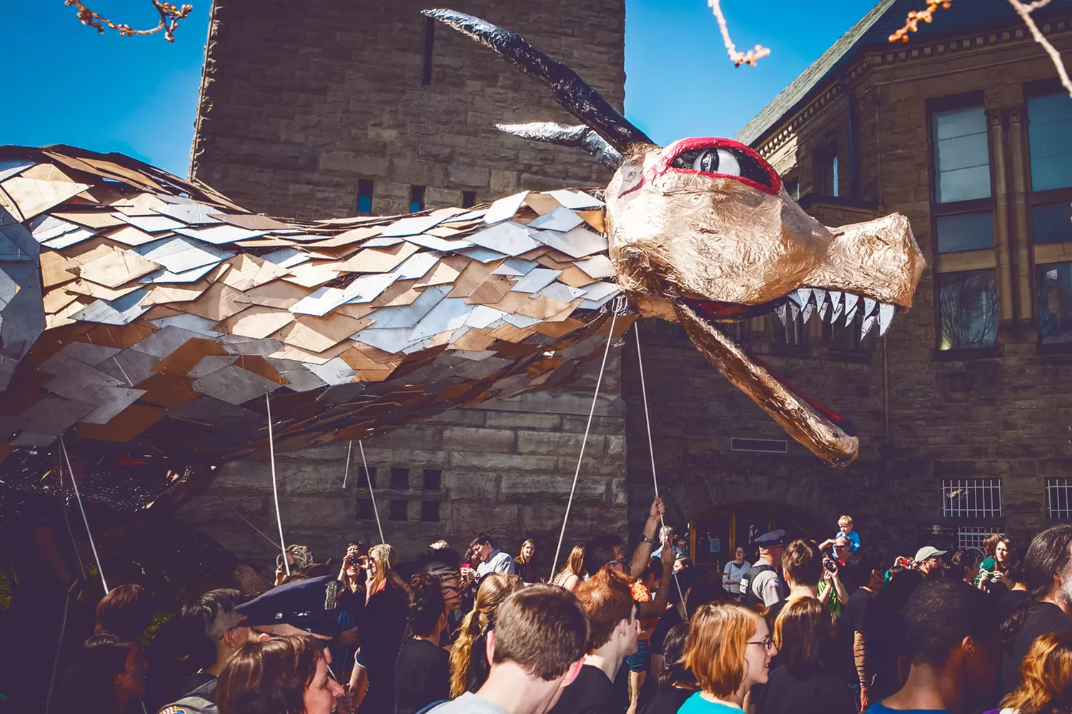 Огромный, замысловато украшенный дракон, созданный студентами-архитекторами, шествует по Академическому квадранту во время знаменитого фестиваля День Дракона