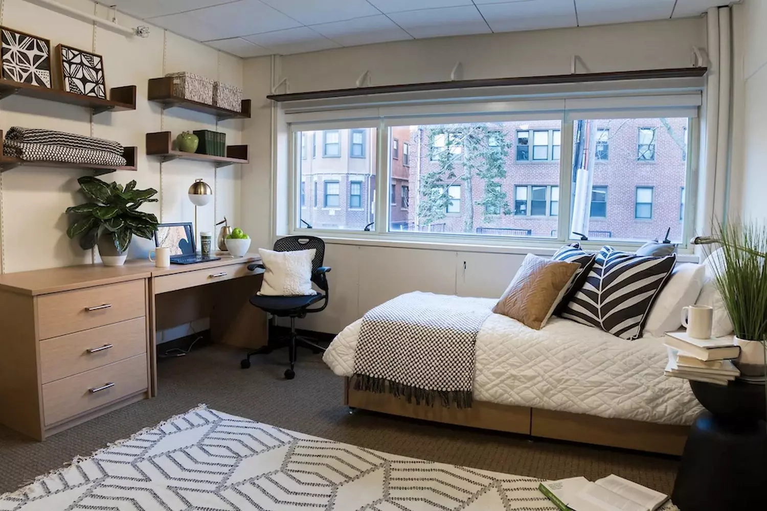 Современная комната в гарвардском общежитии с функциональной мебелью, местом для учебы и личными вещами студента