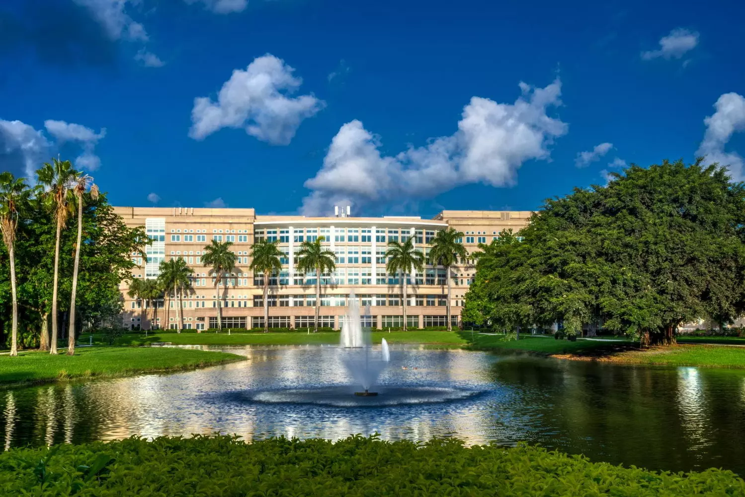 Modern Architecture of NSU Campus Modern university buildings at Nova Southeastern University campus with contemporary design, palm trees, and walking paths between facilities