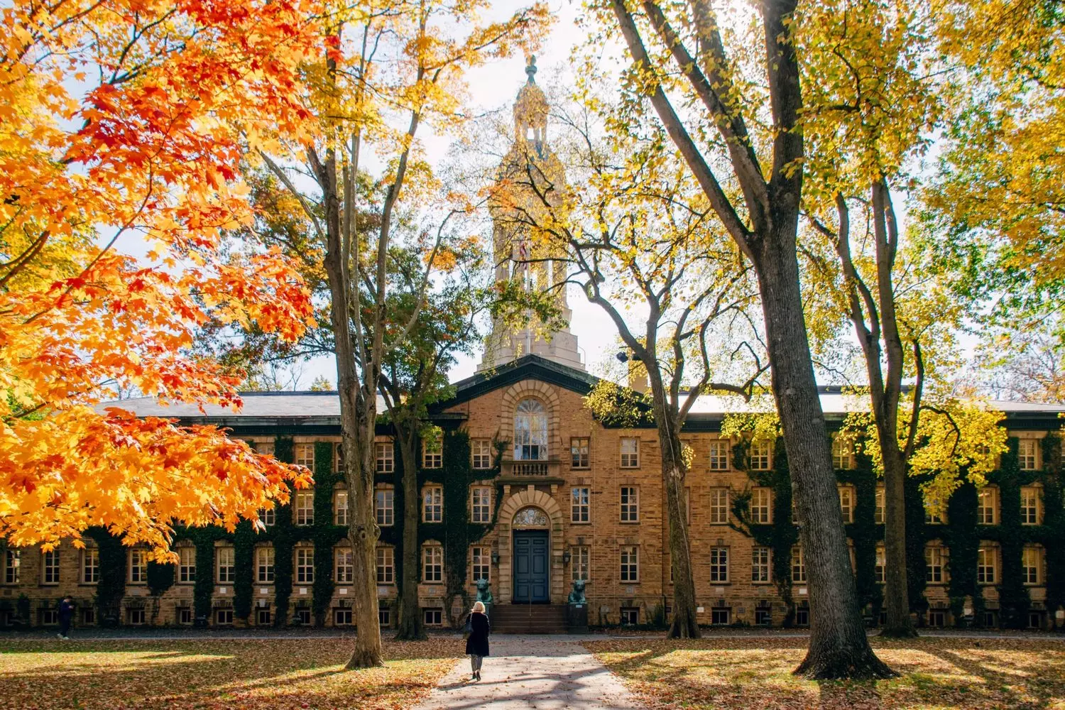 Историческое здание Принстонского университета в готическом стиле с остроконечными башнями и стрельчатыми окнами из песчаника