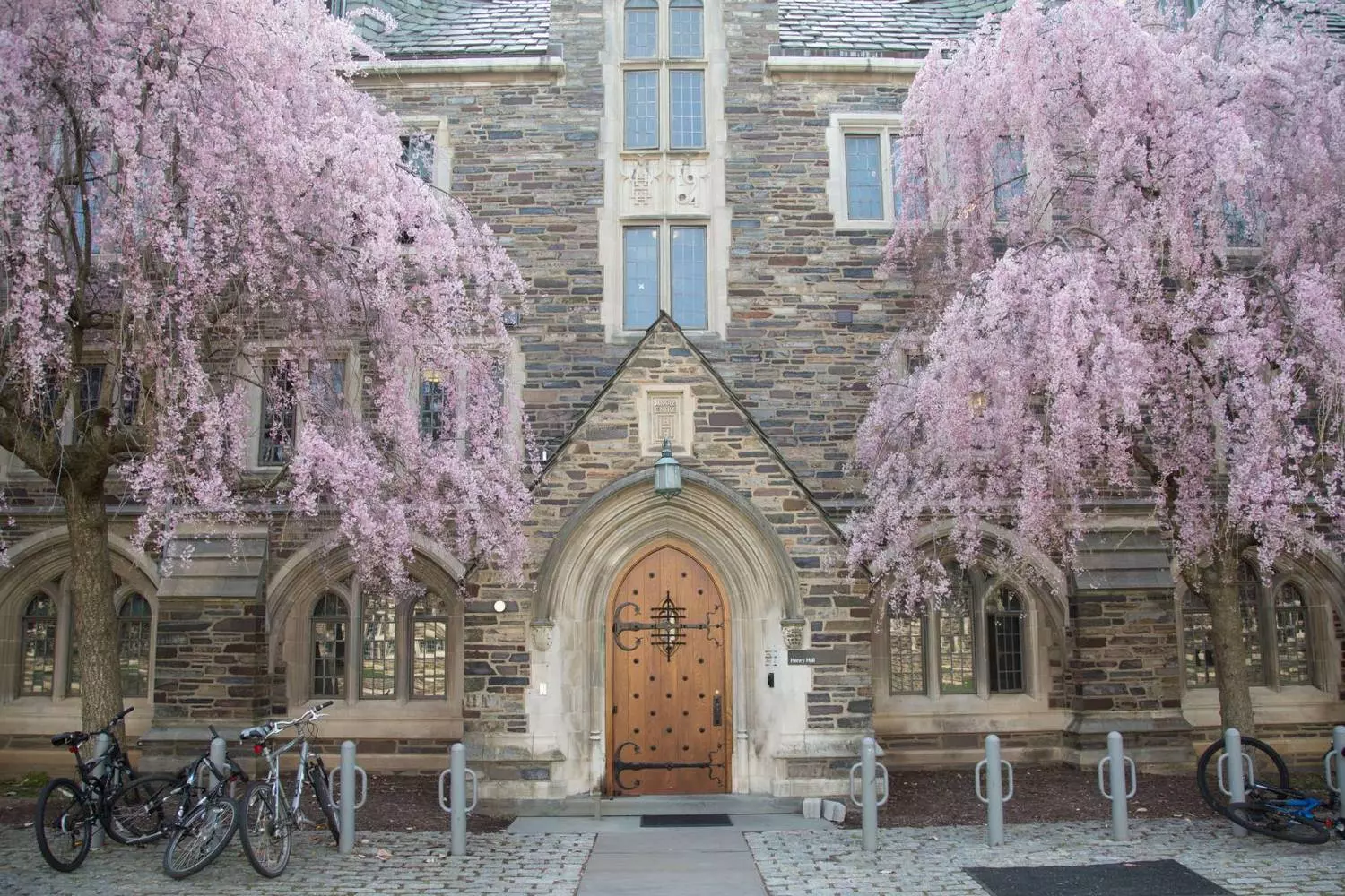 Историческое здание Принстонского университета в готическом стиле с остроконечными башнями и стрельчатыми окнами из песчаника