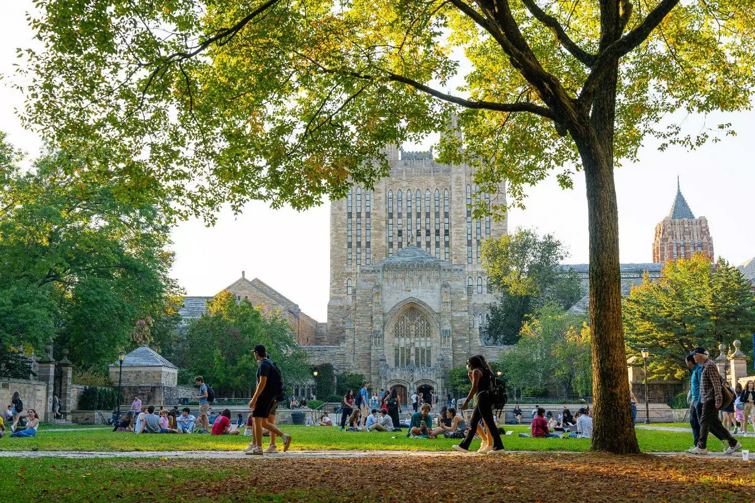 Architectural Heritage of Yale: Gothic Spires of Knowledge Majestic Gothic building of Yale University with a tower and arches on a sunny day