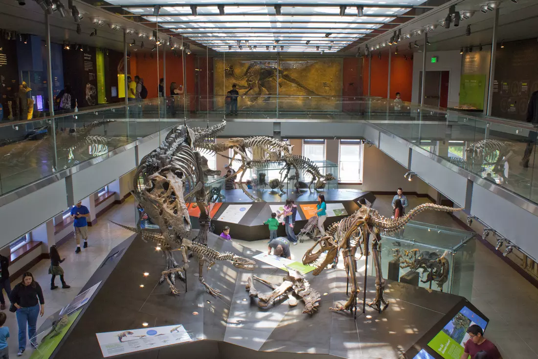 Photo of dinosaur exhibits at the Natural History Museum in Los Angeles