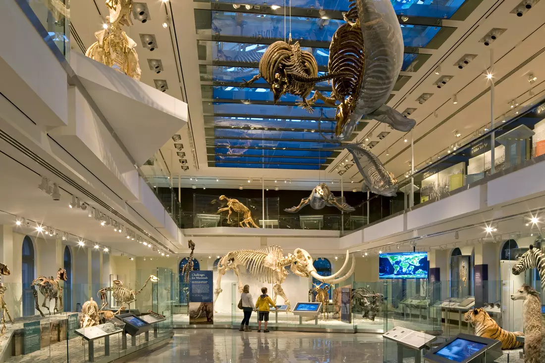 Экспонаты музея Natural History Museum of Los Angeles County