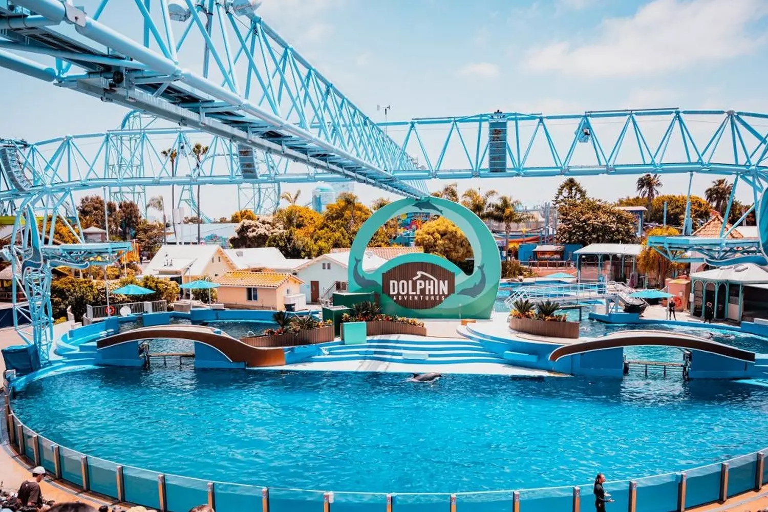 Шоу дельфинов в SeaWorld Сан-Диего — Захватывающее представление Яркий момент шоу дельфинов: животные выпрыгивают из воды в синхронном движении, поднимая тренеров на носах, а брызги долетают до зрителей первых рядов