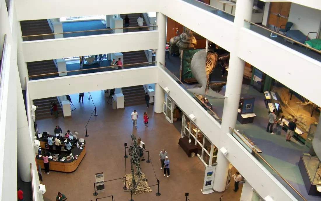 Interior view of the San Diego Natural History Museum with exhibits on multiple floors