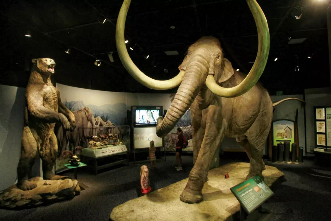 Ancient animals exhibit at the San Diego Natural History Museum