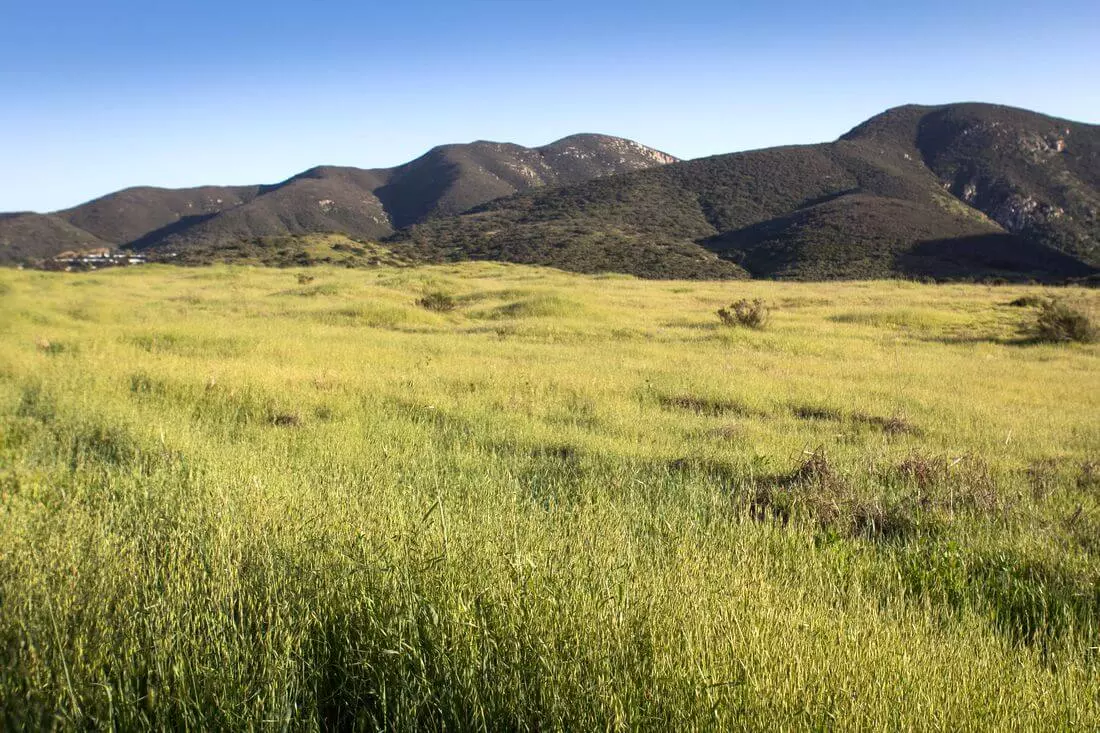 Mission Trails Regional Park — American Butler