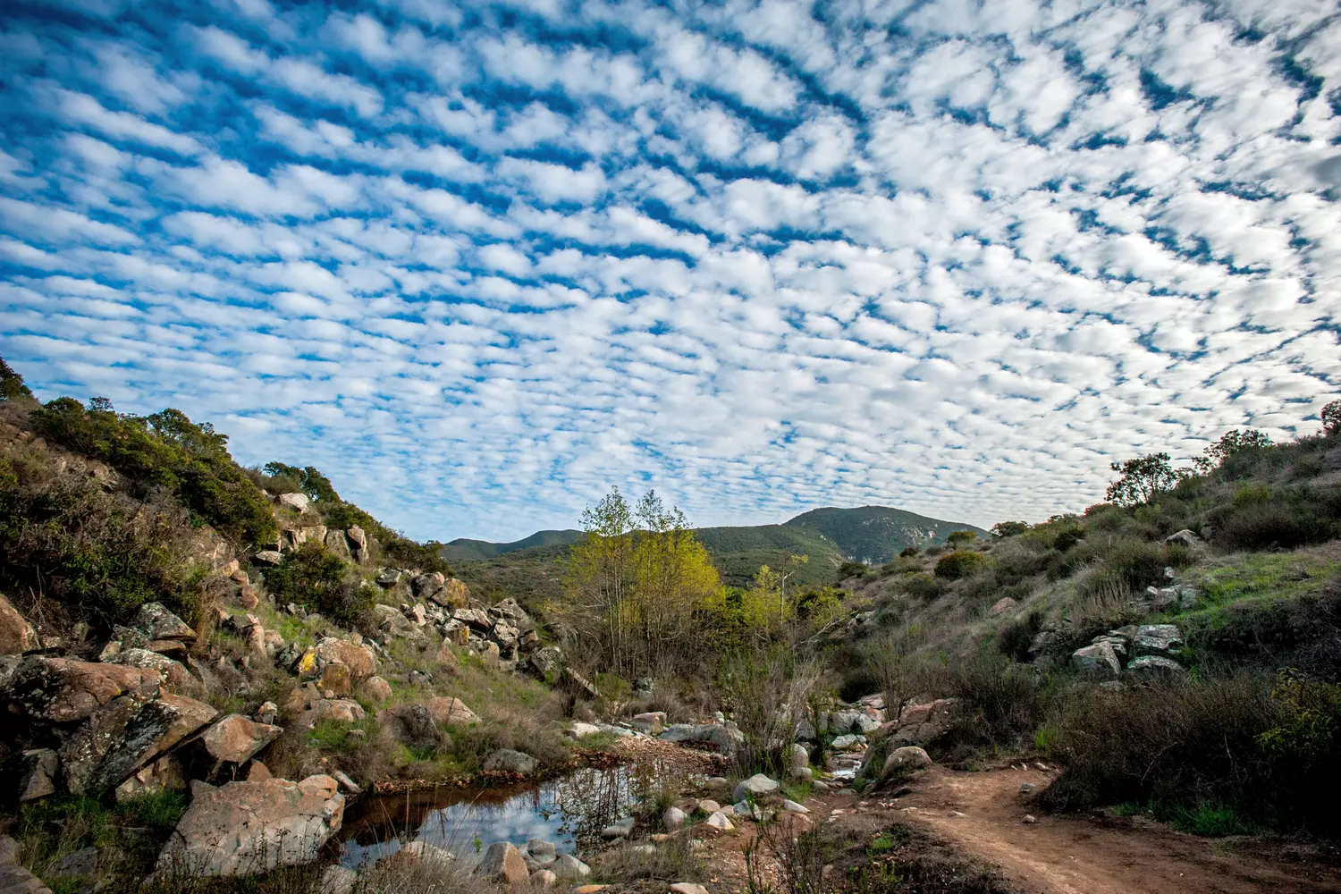 Природные ландшафты Mission Trails Regional Park с облачным небом — American Butler