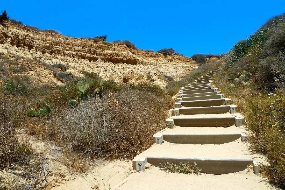 Заповедники и парки Сан-Диего — фото Torrey Pines State Natural Reserve — American Butler