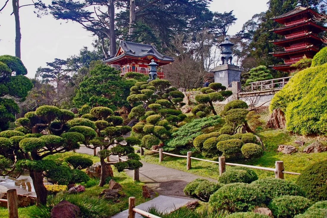 Golden Gate Park in San Francisco — American Butler