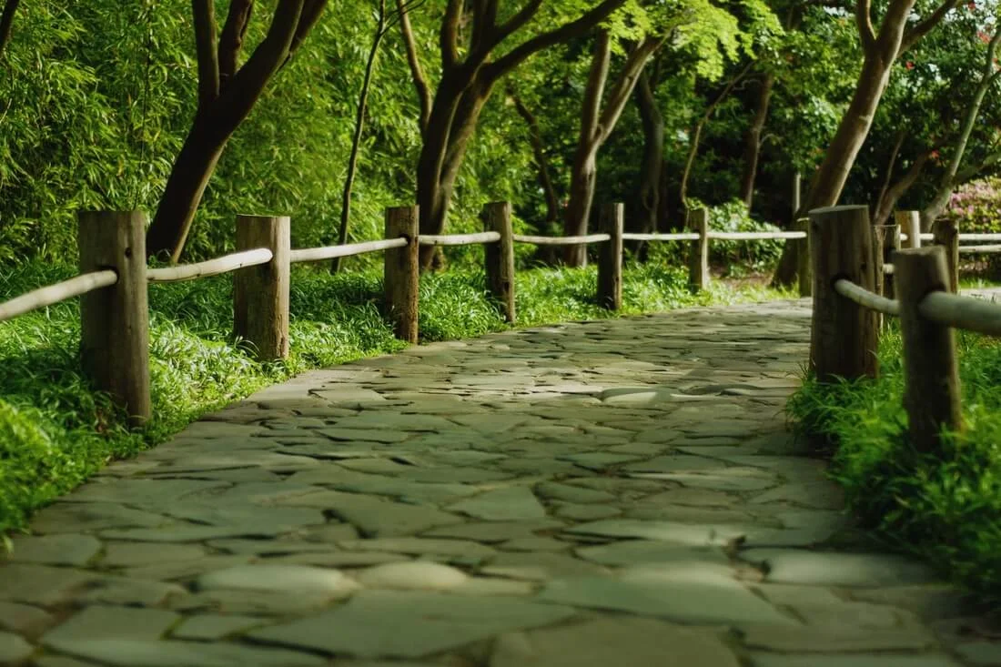 Photo of walking paths in Golden Gate Park — American Butler