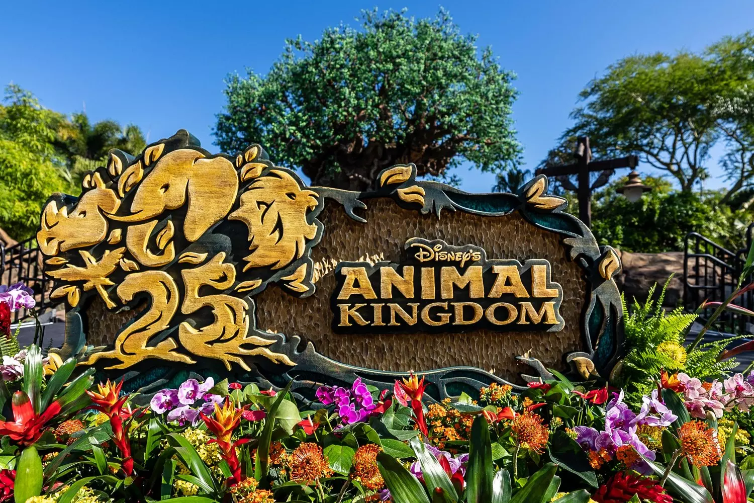 Welcome to Disney’s Animal Kingdom — a world of adventure and wildlife Sign at the entrance to Disney’s Animal Kingdom: wooden letters with carved animals, surrounded by tropical greenery, creating an atmosphere of adventure