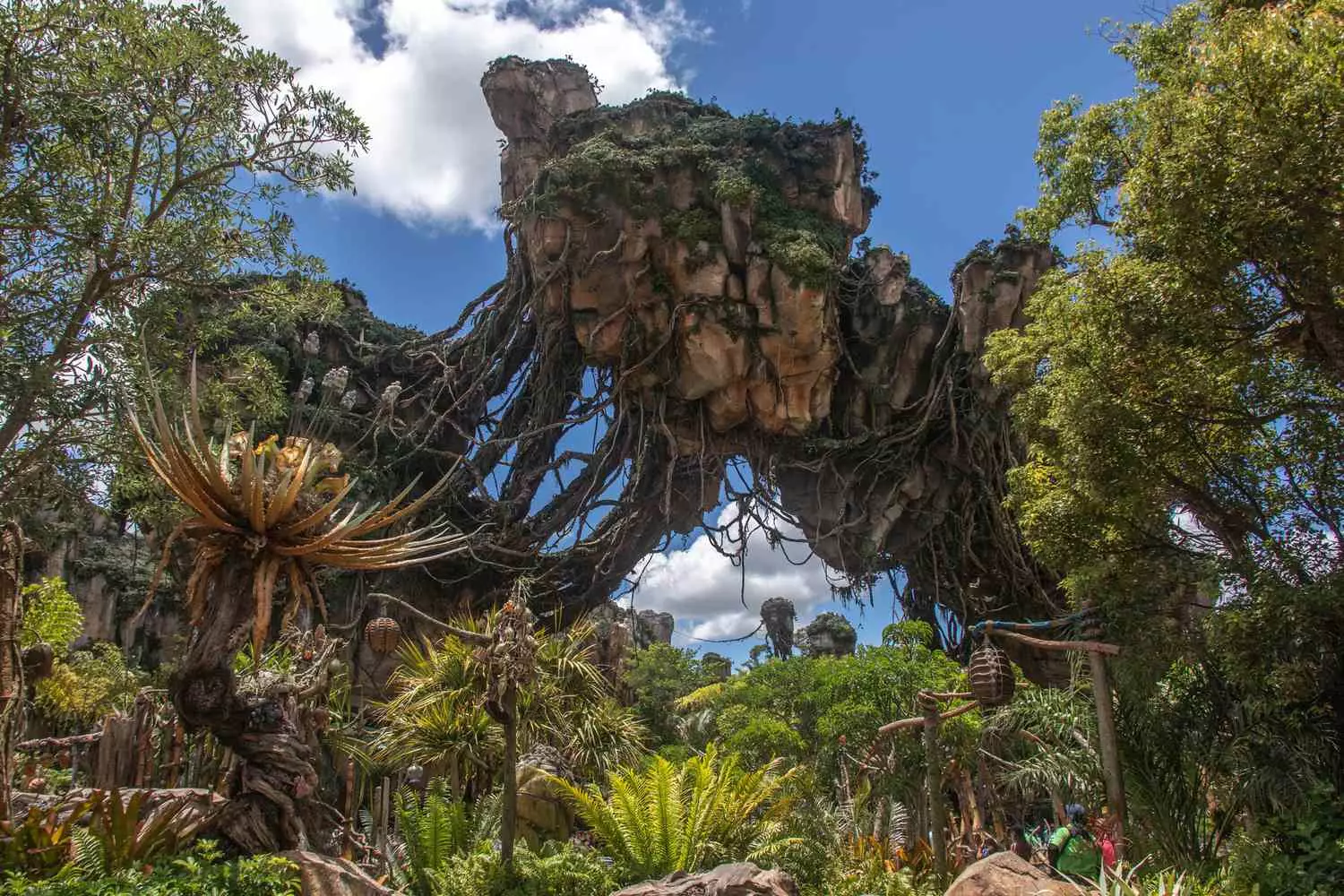 Pandora at Disney's Animal Kingdom: Explore floating mountains and glowing plants from "Avatar" Floating mountains, glowing plants, and the atmosphere of Pandora from "Avatar" with views of the "Flight of Passage" and "Navi River Journey" attractions