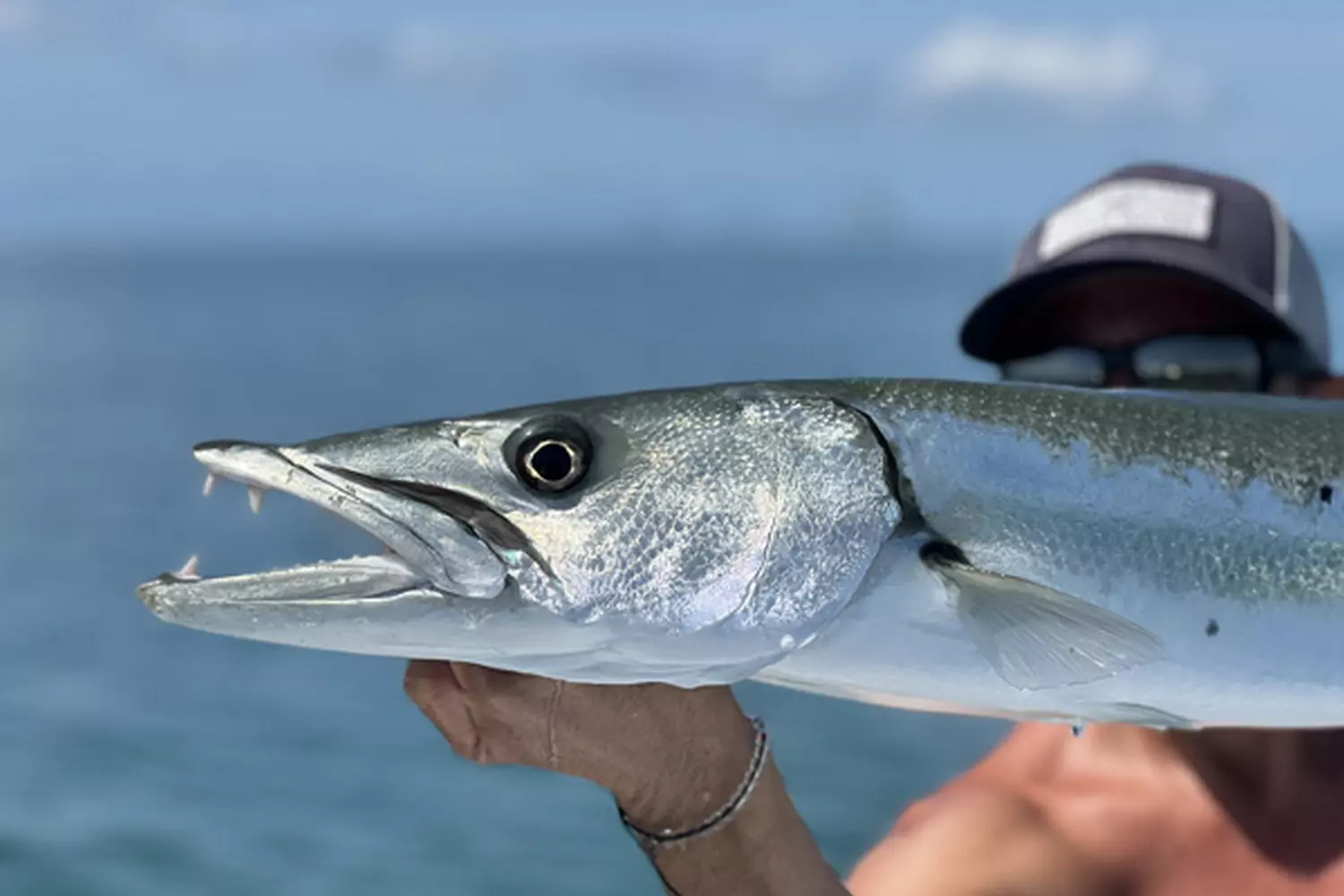 Barracuda Catch in Miami — Thrilling Deep Sea Fishing Adventure Angler holding a large barracuda caught during a fishing trip in Miami’s deep blue waters