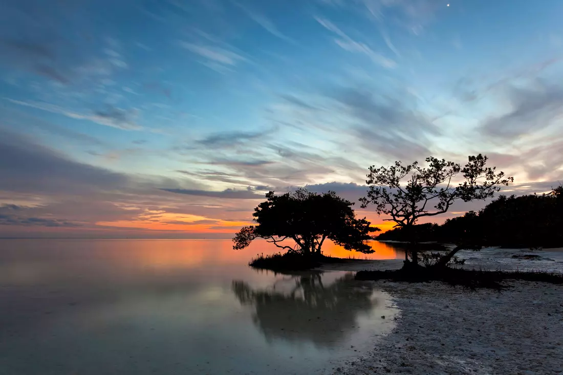 Everglades National Park — Florida National Reserve — American Butler