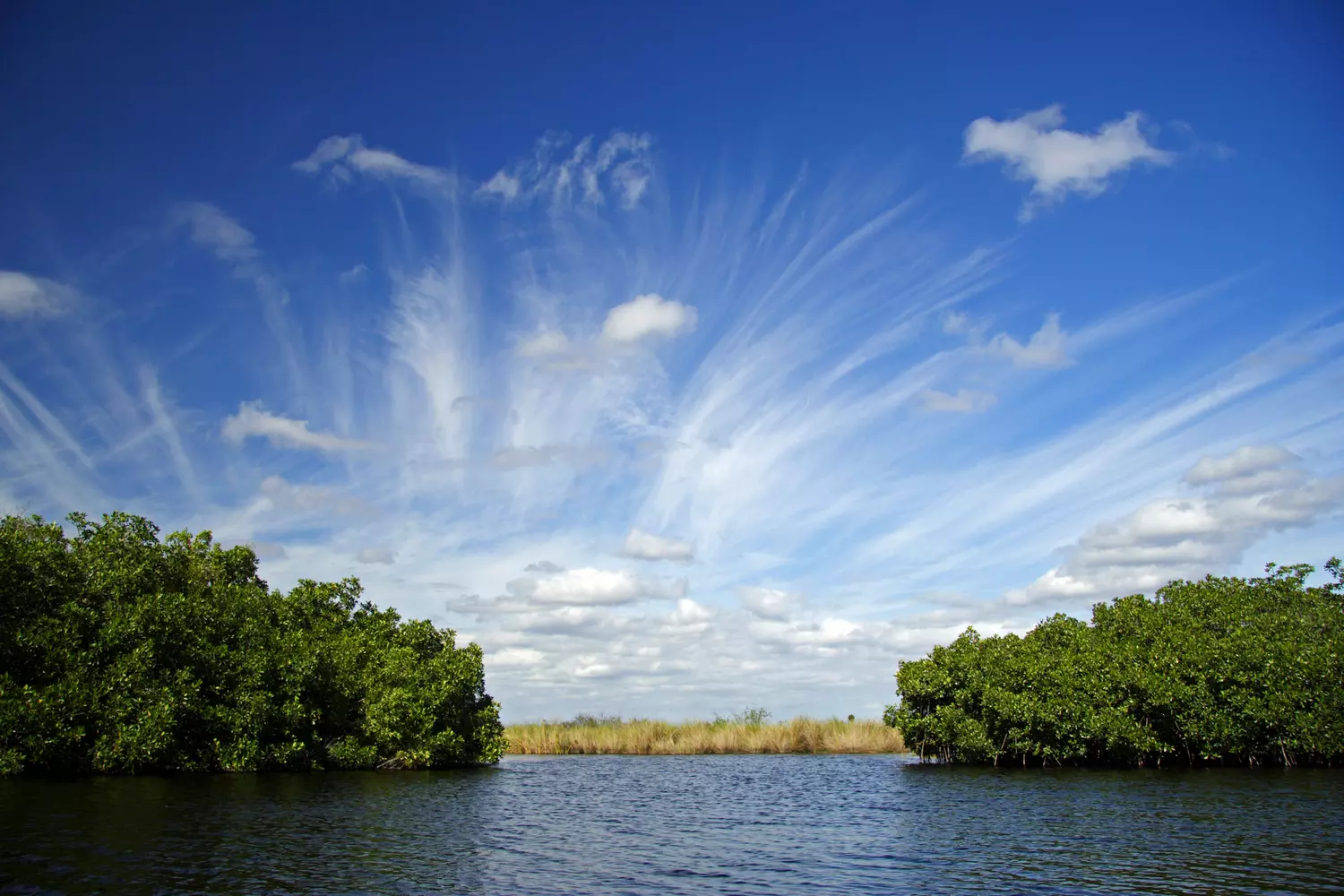 Florida State Parks — Everglades Preserve Photo — American Butler