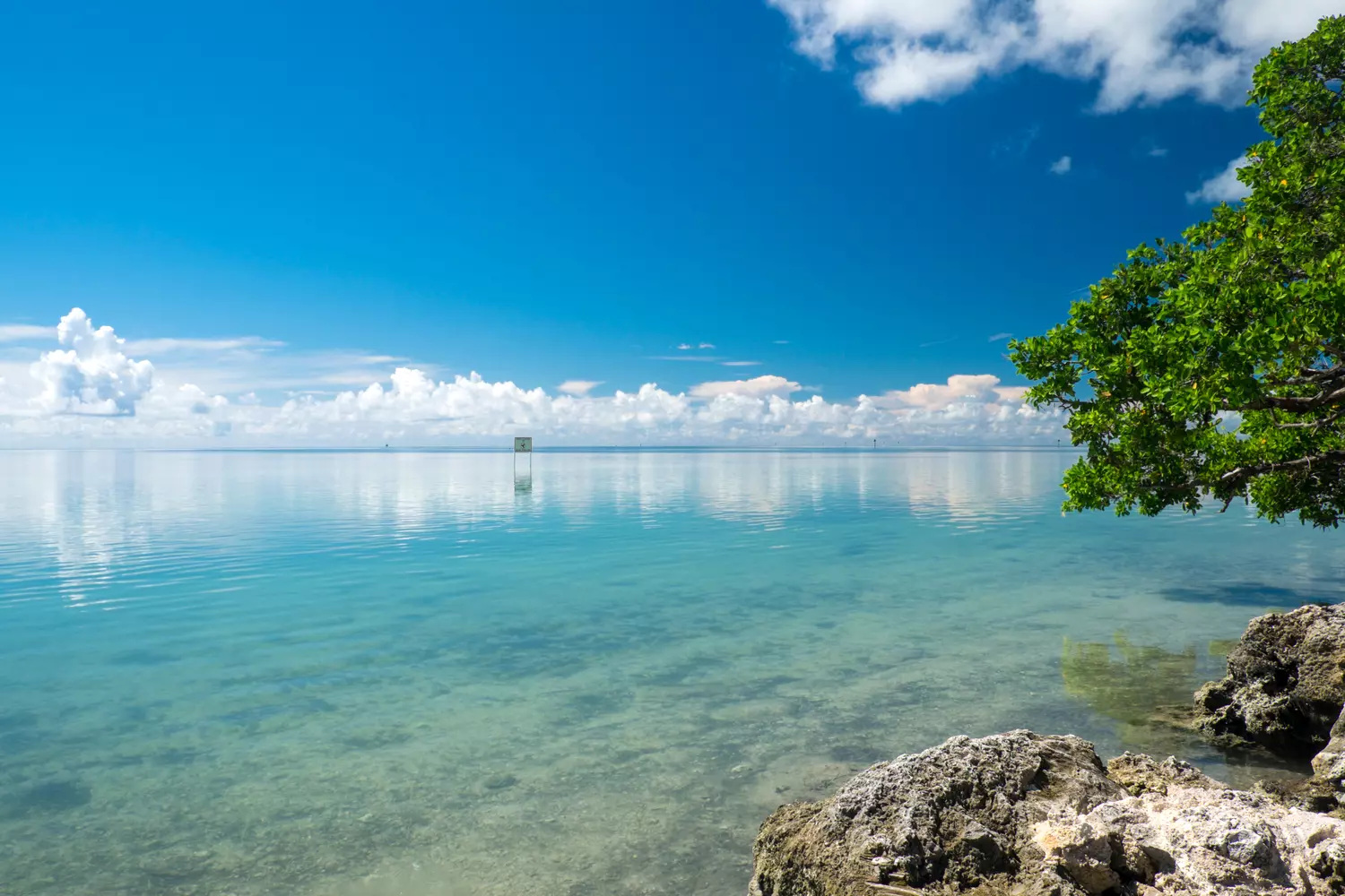 Photo of the Florida Keys Wildlife Refuge in Florida — American Butler