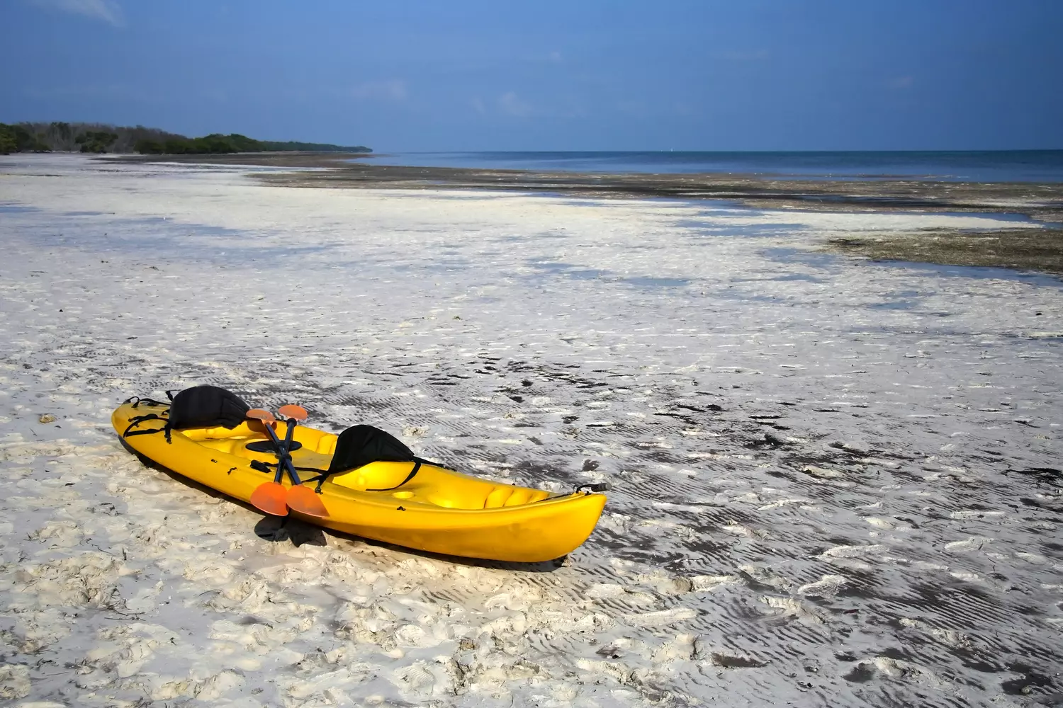 Long Key State Park — фотография отлива в заливе — American Butler