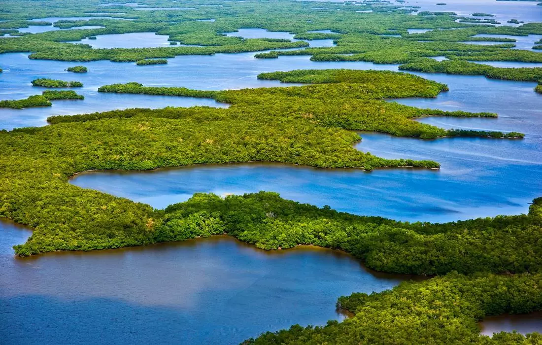 Ten Thousand Islands National Park — photo of the island chain