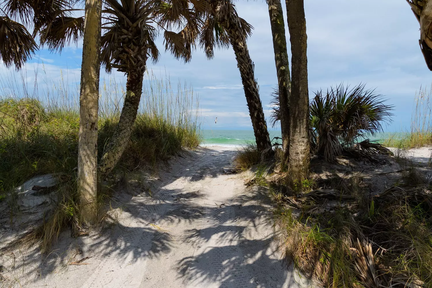 Уединенный пляж на острове Egmont Key с видом на залив