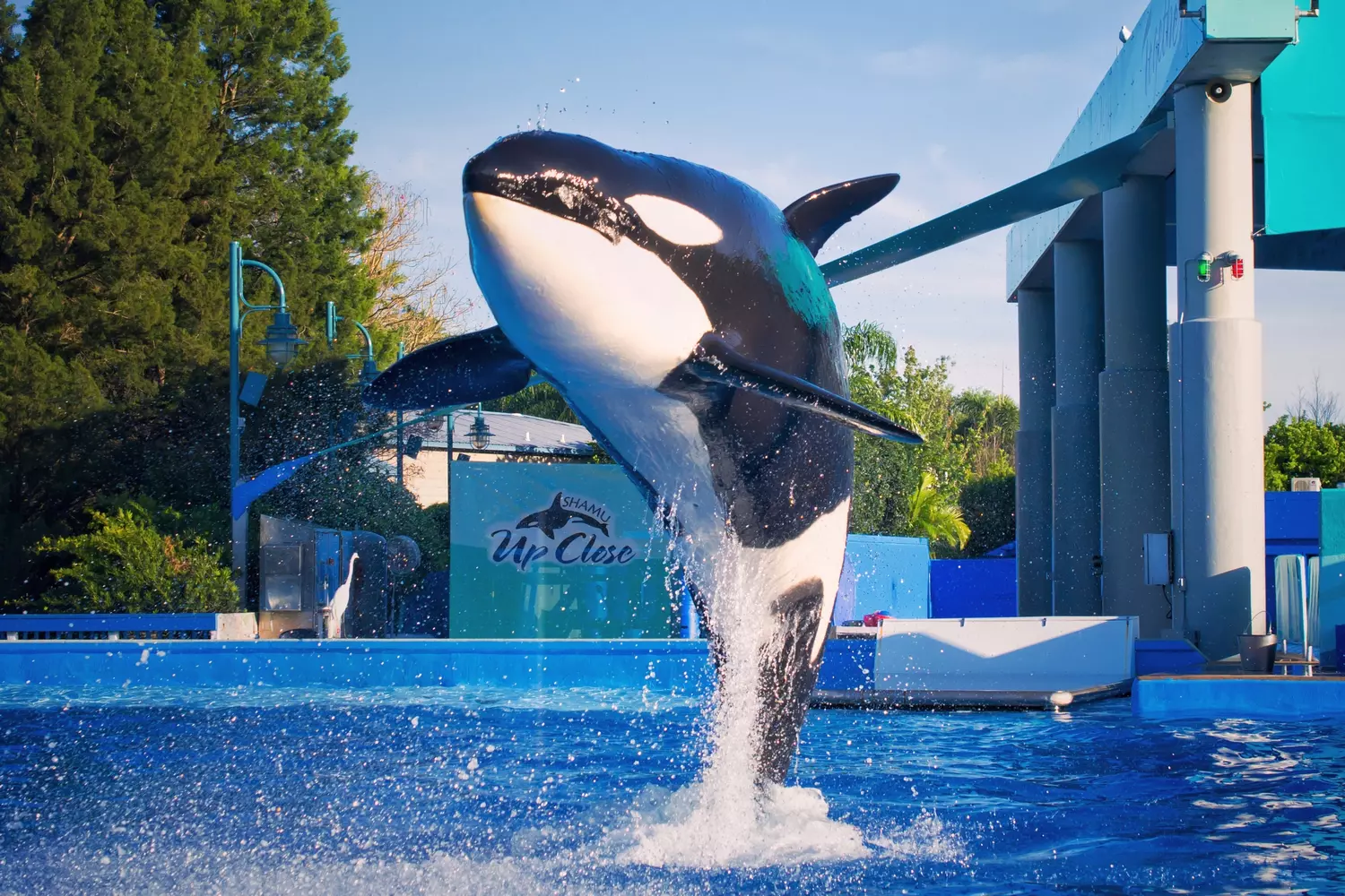 Top Florida Attractions — Photo by Seaworld Orlando — American Butler