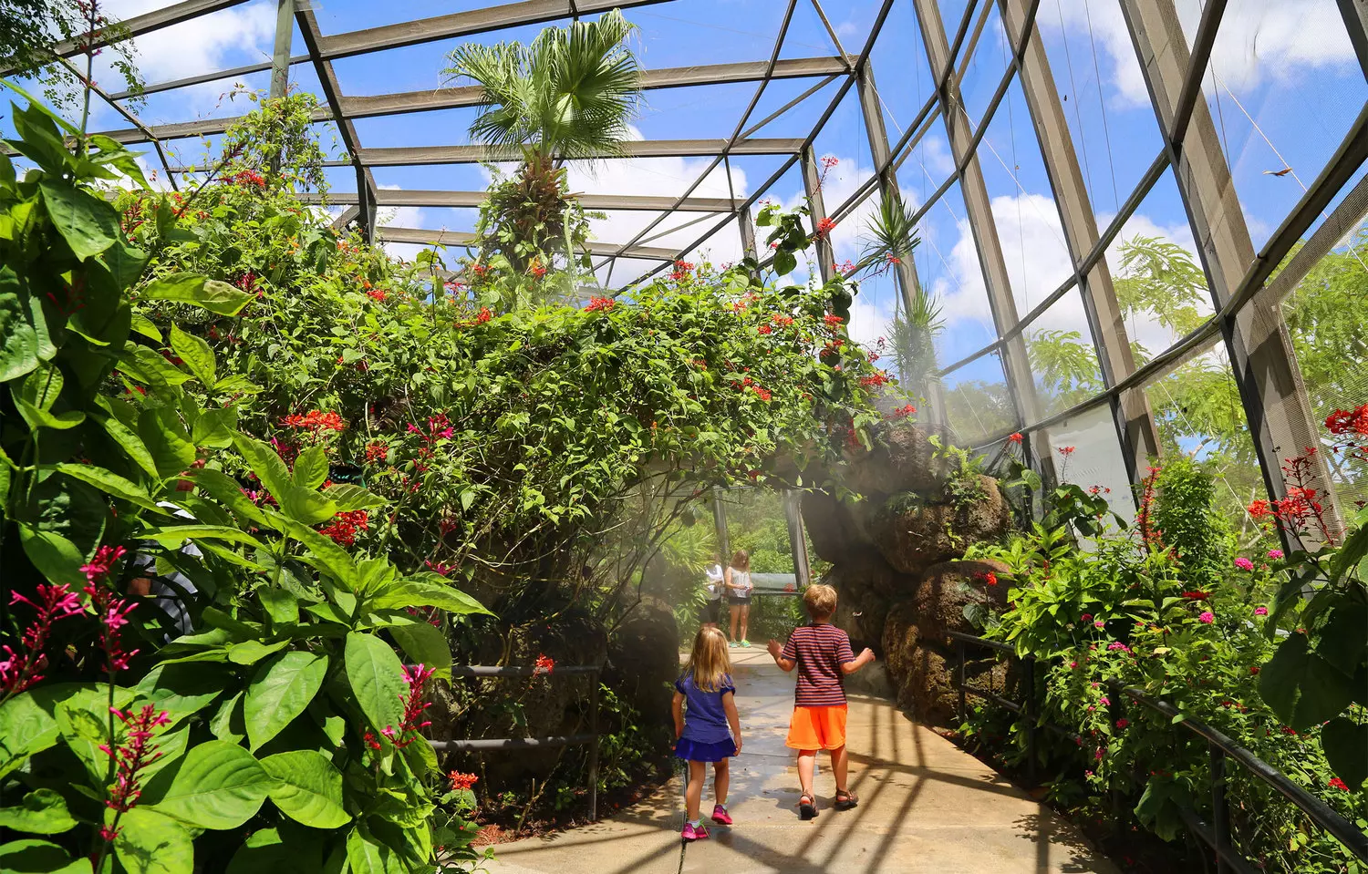 Butterfly World: волшебный тропический оазис в Форте-Лодердейле Яркие бабочки порхают среди тропических цветов в Butterfly World — заповеднике с тропическим лесом, экзотическими растениями и водопадами в Форте-Лодердейле