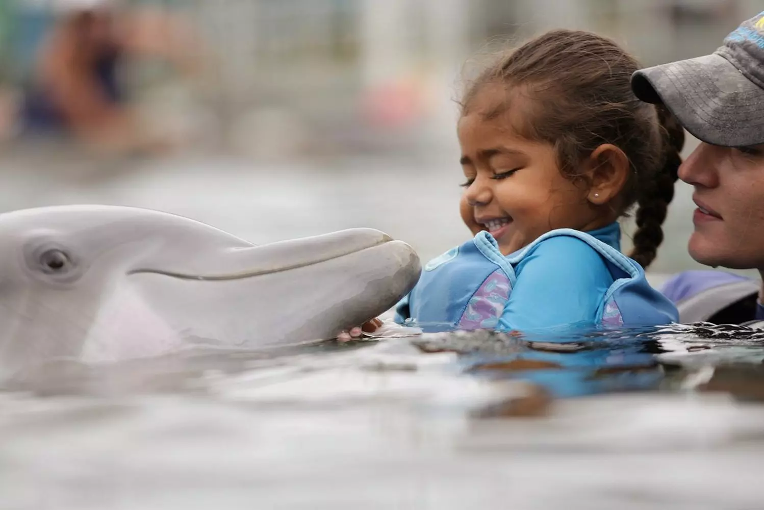 Swim with Dolphins in Florida — Unforgettable Marine Adventure A happy family swimming with playful dolphins in crystal-clear Florida waters, surrounded by sunshine and smiles during an interactive marine encounter
