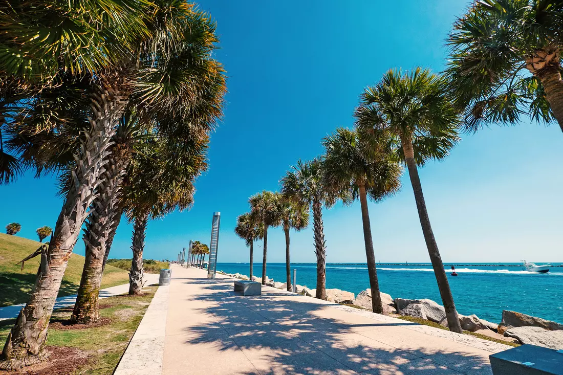 Excursions in Miami — discover the world of parks with us