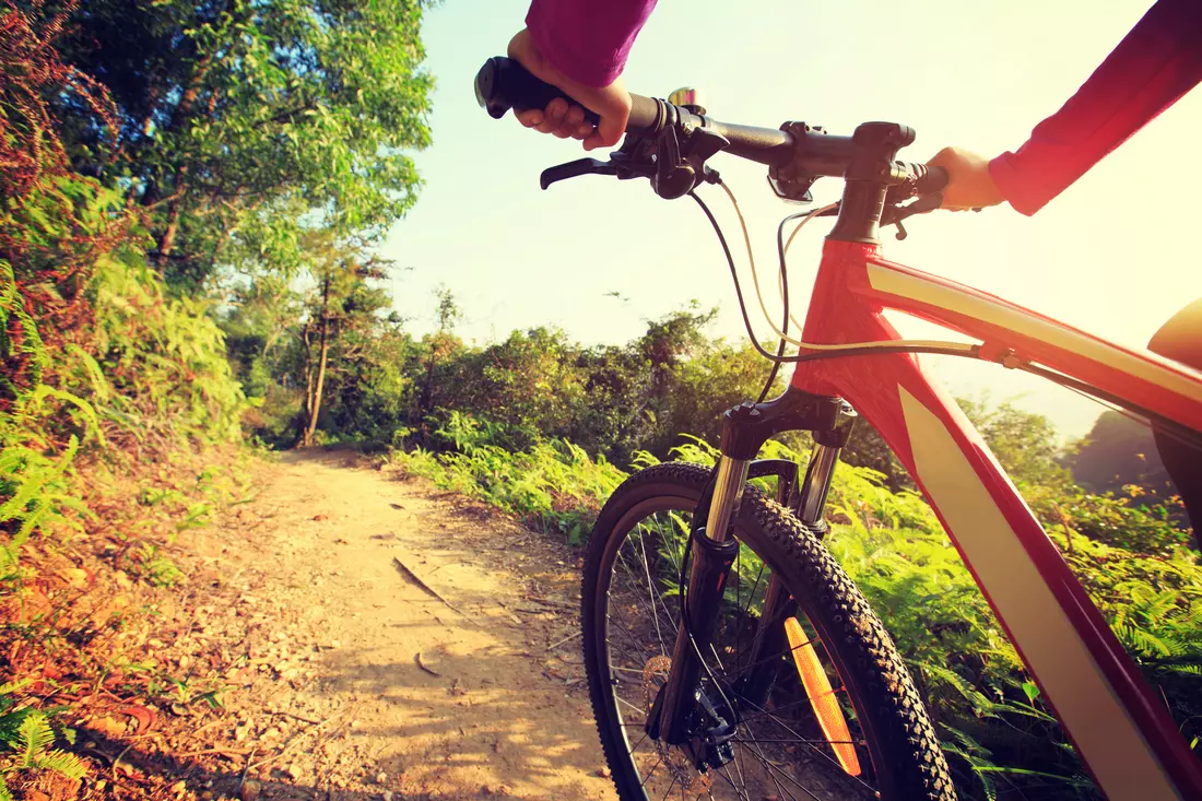 Photos of bike paths in Amelia Earhart Park in Miami — American Butler