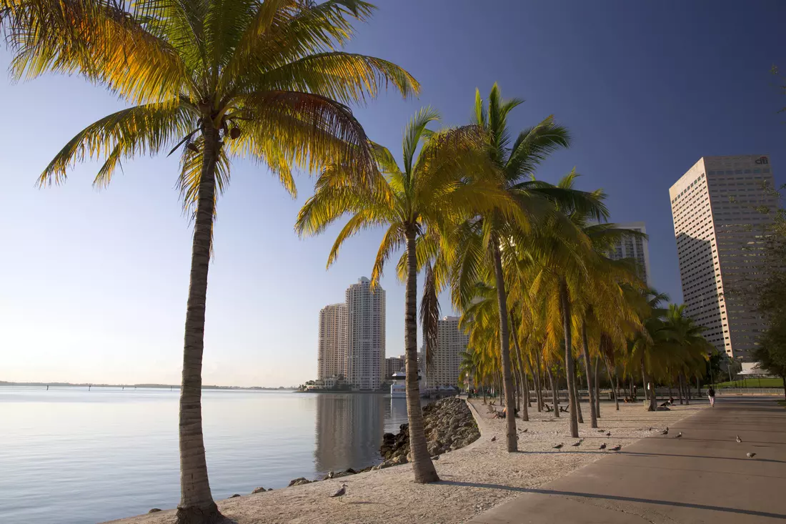 Bayfront Park — waterfront view photo — American Butler