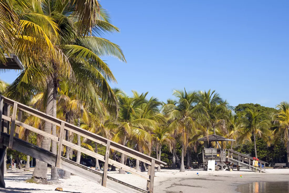 Matheson Hammock Park, Coral Gables — American Butler