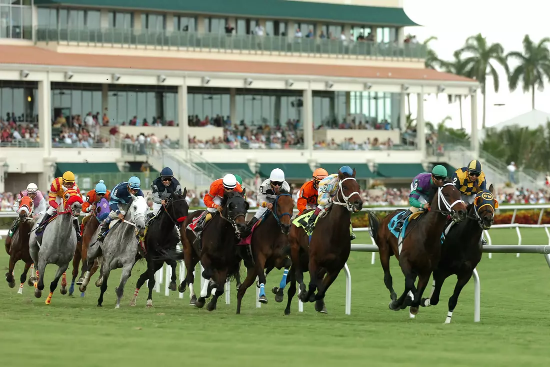 Фото скачек на ипподроме в парке Гольфстрим в Халландейле — Gulfstream Park Race Track — American Butler