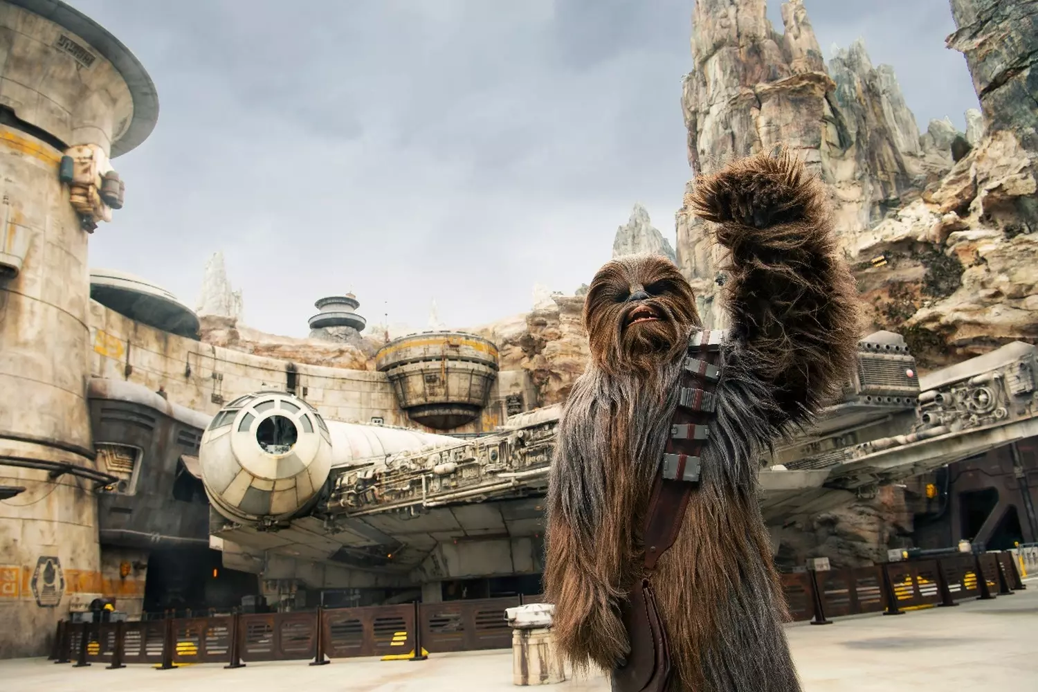 Meet Chewbacca at Star Wars: Galaxy’s Edge — Disney's Hollywood Studios, Orlando Chewbacca at Star Wars: Galaxy’s Edge in Disney's Hollywood Studios, Orlando