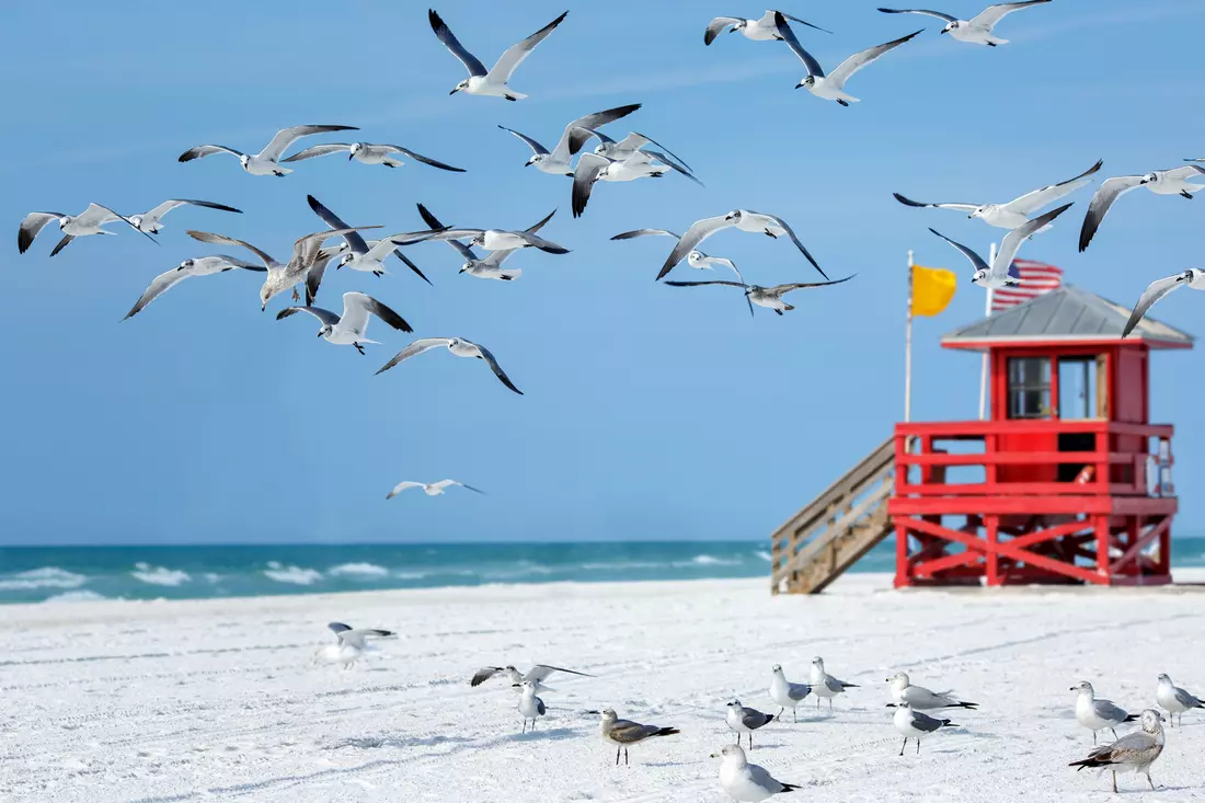 View of scenic Sarasota beach with white sand and clear blue sky