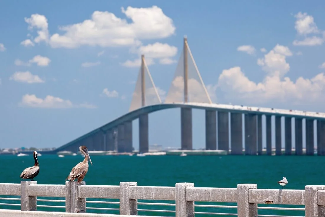 Sunshine Skyway Bridge — St. Petersburg bridge photo — American Butler