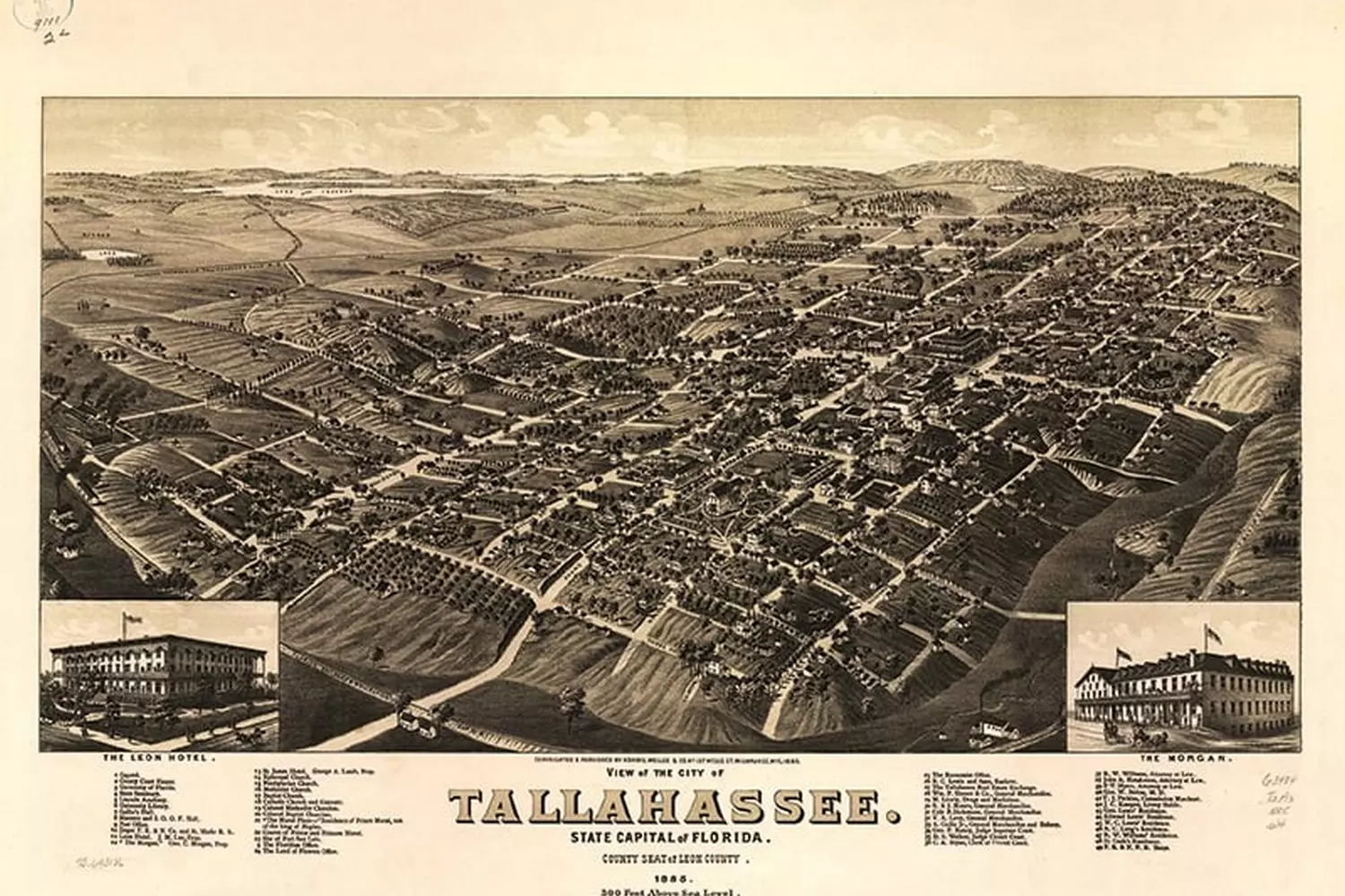 Archival image of Tallahassee: a glimpse into Florida's capital in the past Historic photo of Tallahassee — the capital of Florida