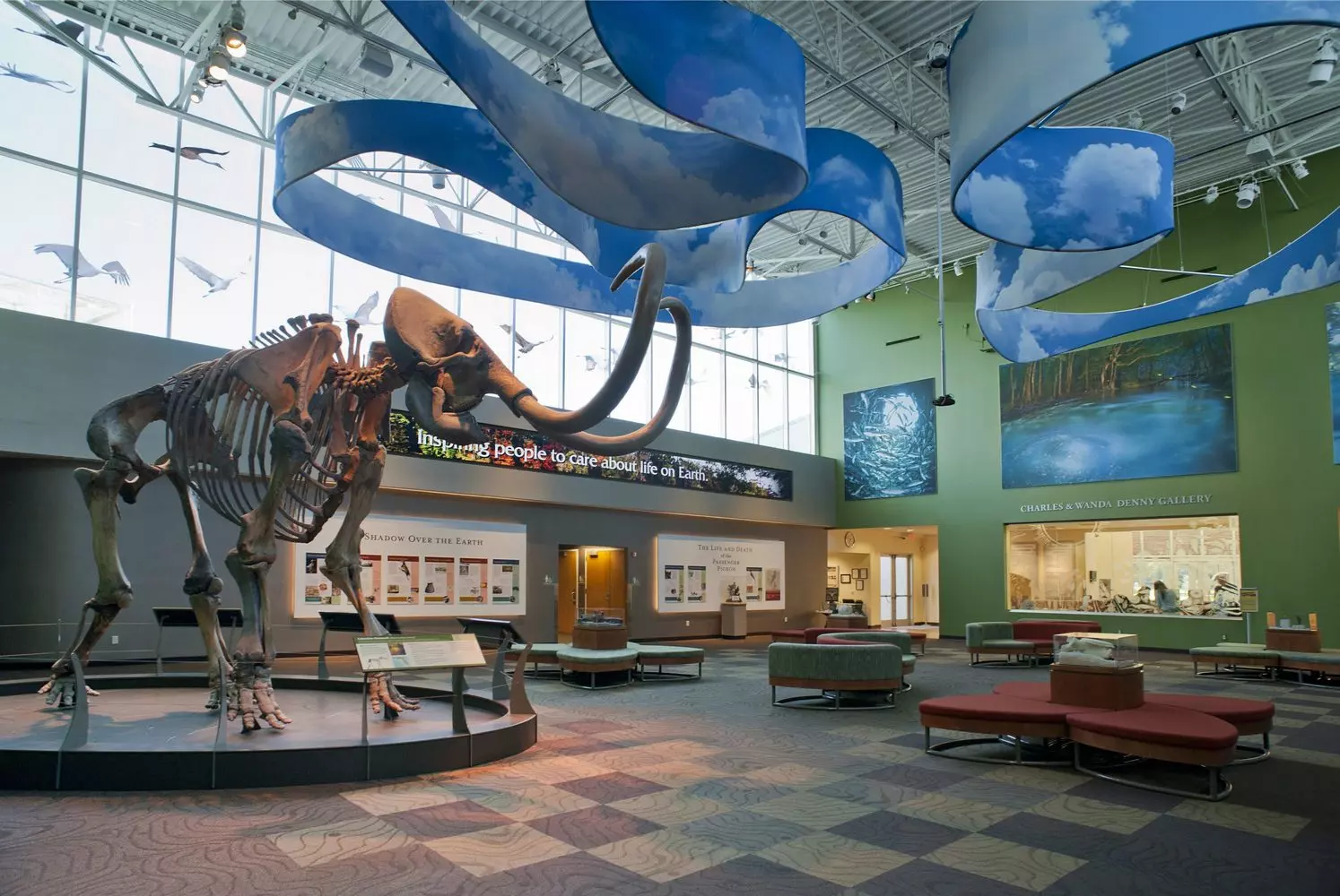 Tallahassee Museum of History: exhibitions about the past of Florida’s capital Tallahassee Museum of History — preserving the city's cultural heritage
