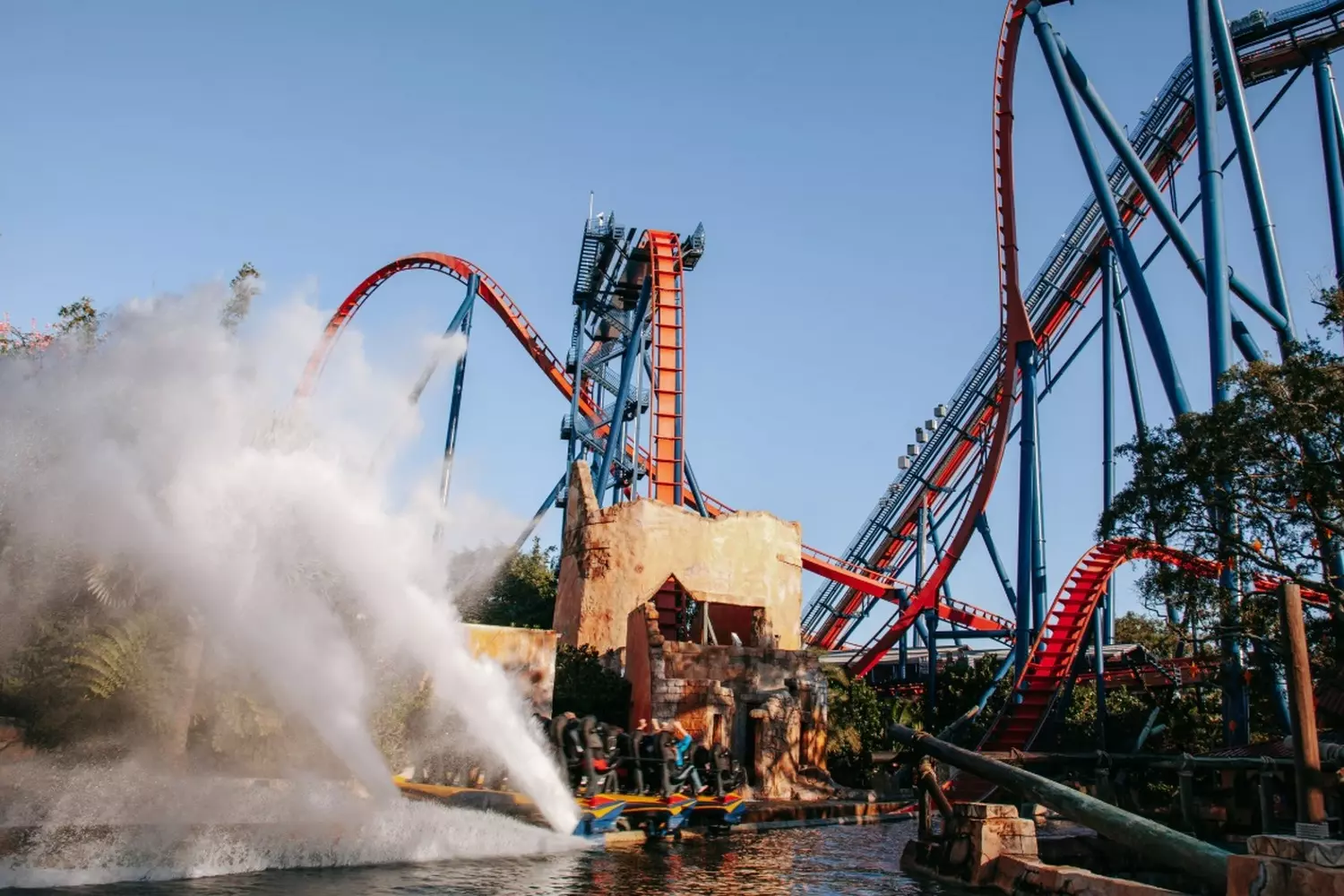 Busch Gardens в Тампе — экстремальные аттракционы и сафари-приключения Захватывающий вид с высоты на парк Busch Gardens: американские горки, тропические ландшафты и вольеры с животными в солнечный день
