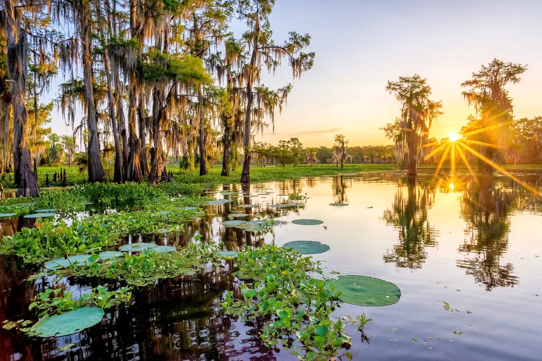 Atchafalaya Basin — Достопримечательности Луизианы