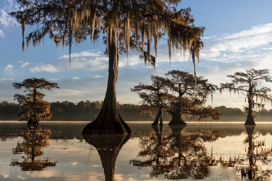 Photo of Cypress Lake in Louisiana